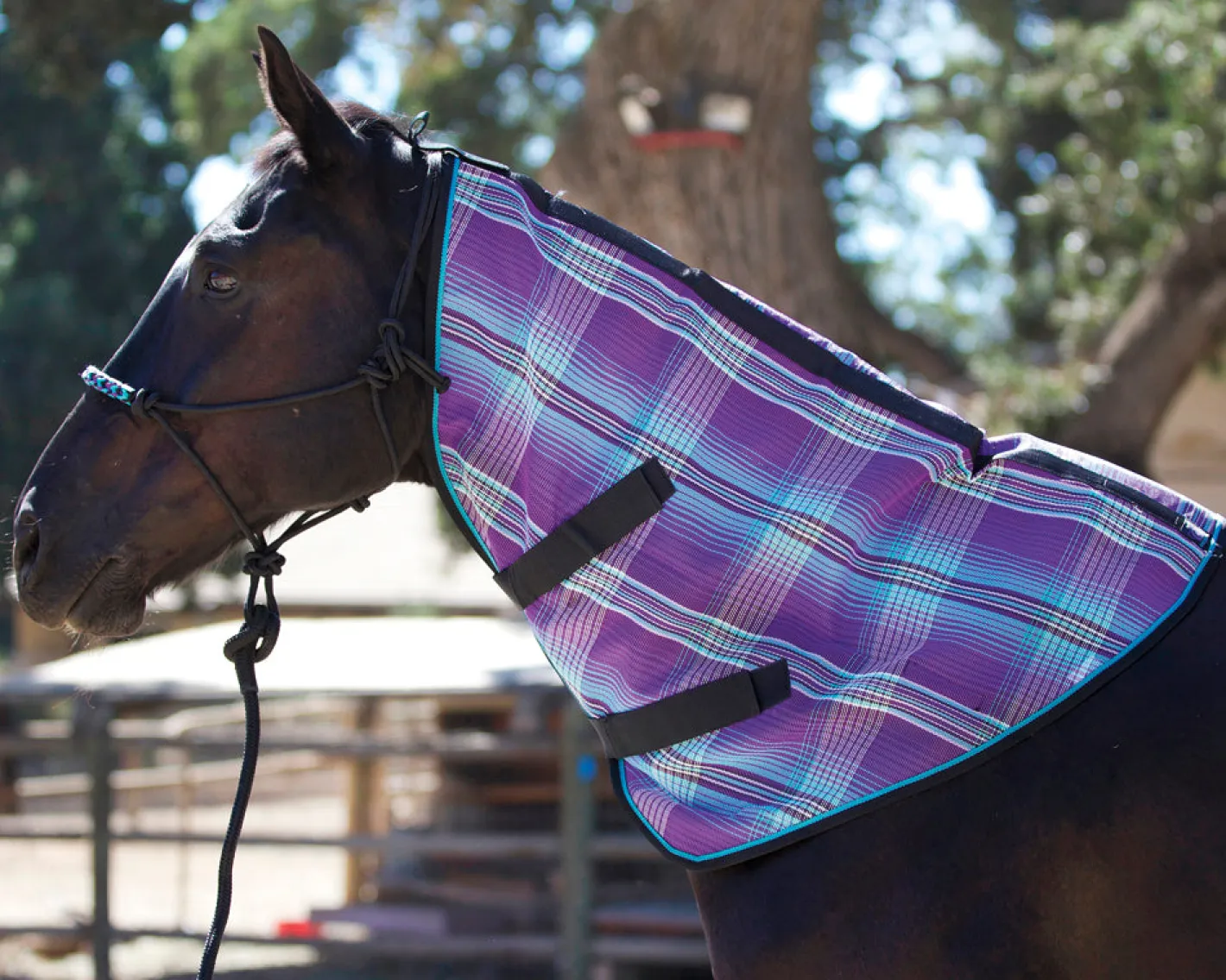 KENSINGTON ™ Signature Textilene® Neck Cover