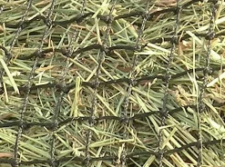 KENSINGTON ™ Slow Feed 4-Flake Hay Bag