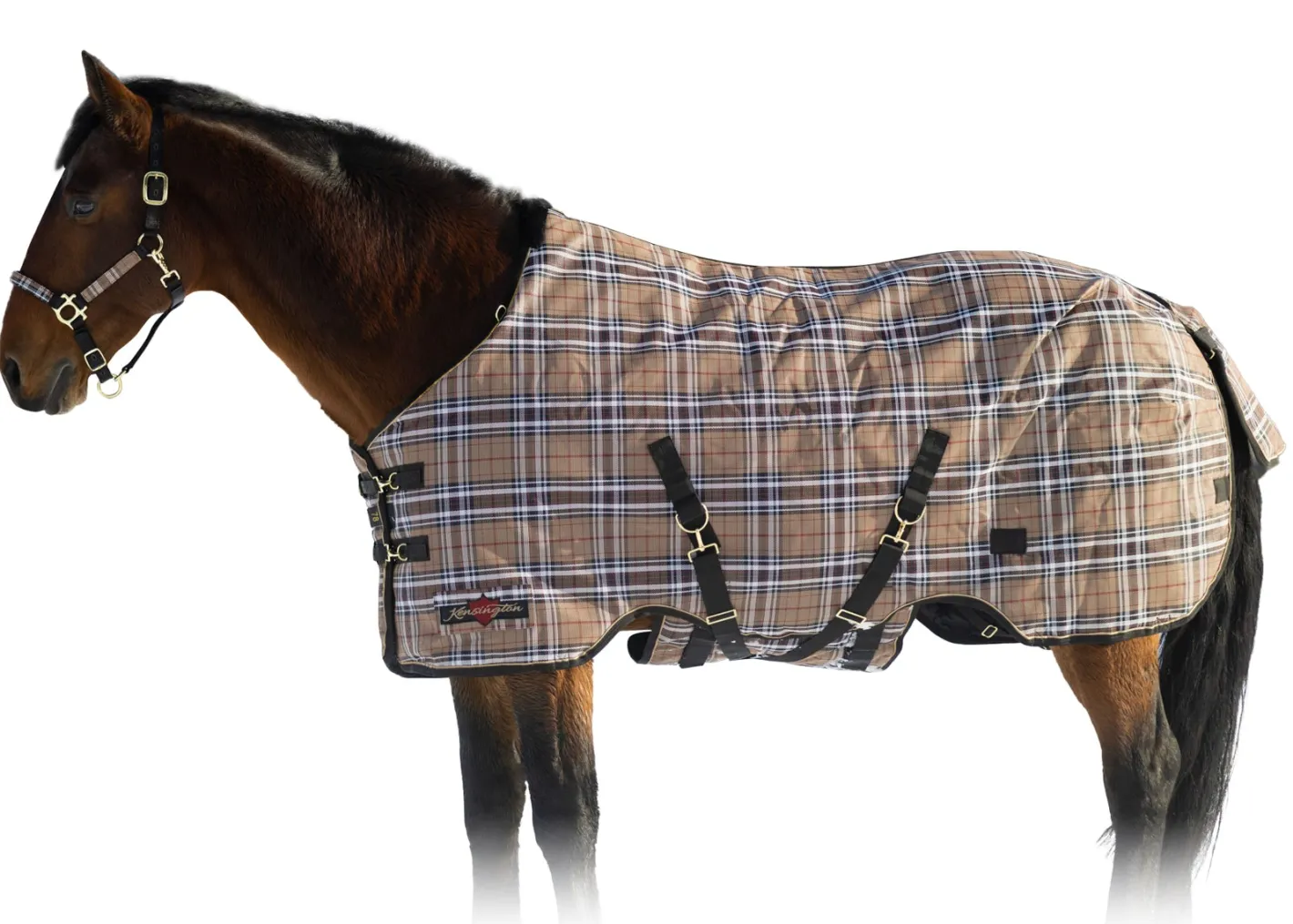 KENSINGTON ™ SuperMesh 300 Gram Heavyweight Turnout Blanket