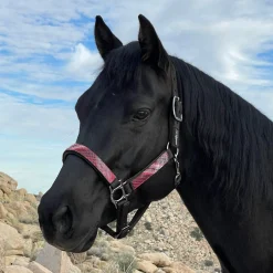 KENSINGTON ™ Premium Halter