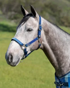 KENSINGTON ™ Premium Halter
