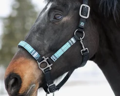 KENSINGTON ™ Premium Halter