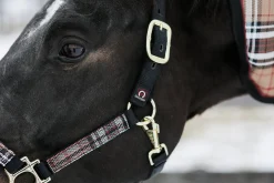 KENSINGTON ™ Premium Halter