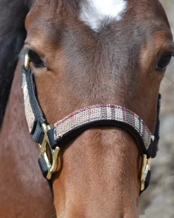 KENSINGTON ™ Premium Halter