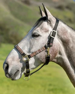 KENSINGTON ™ Premium Halter