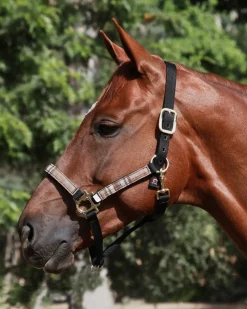 KENSINGTON ™ Premium Halter