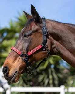 KENSINGTON ™ Premium Halter