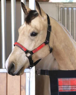 KENSINGTON ™ Premium Halter