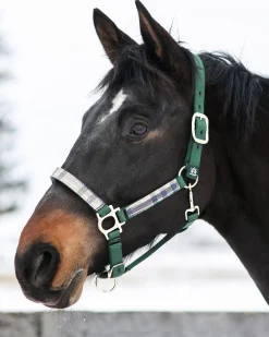 KENSINGTON ™ Premium Halter