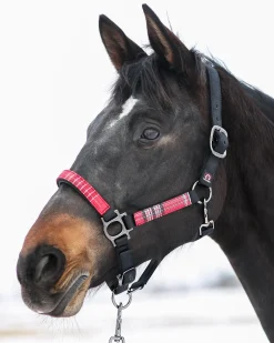 KENSINGTON ™ Premium Halter