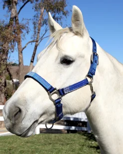 KENSINGTON ™ Premium Halter