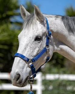 KENSINGTON ™ Premium Halter