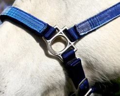 KENSINGTON ™ Premium Halter