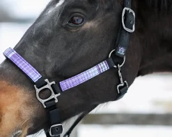 KENSINGTON ™ Premium Halter