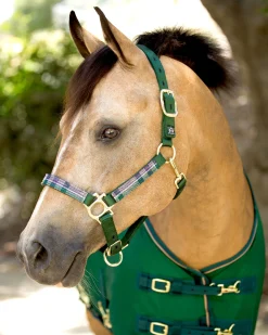 KENSINGTON ™ Premium Halter