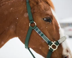 KENSINGTON ™ Premium Halter