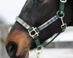 KENSINGTON ™ Premium Halter