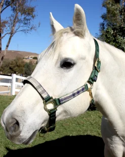 KENSINGTON ™ Premium Halter