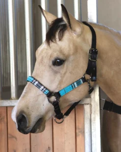 KENSINGTON ™ Premium Halter