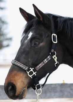 KENSINGTON ™ Premium Halter