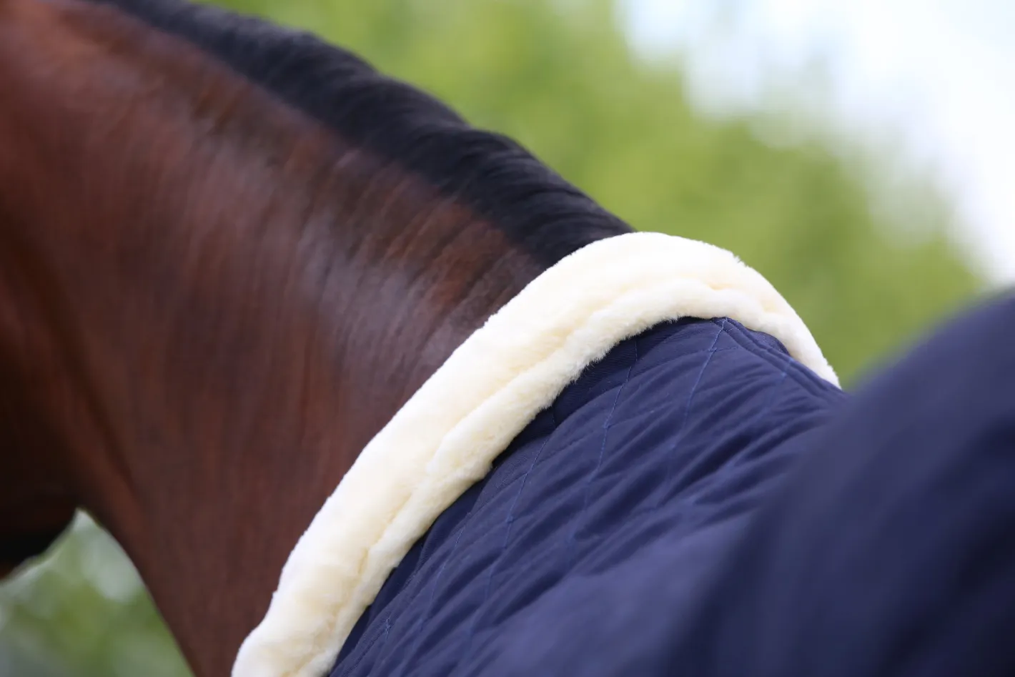 KENTUCKY HORSEWEAR Show Rug