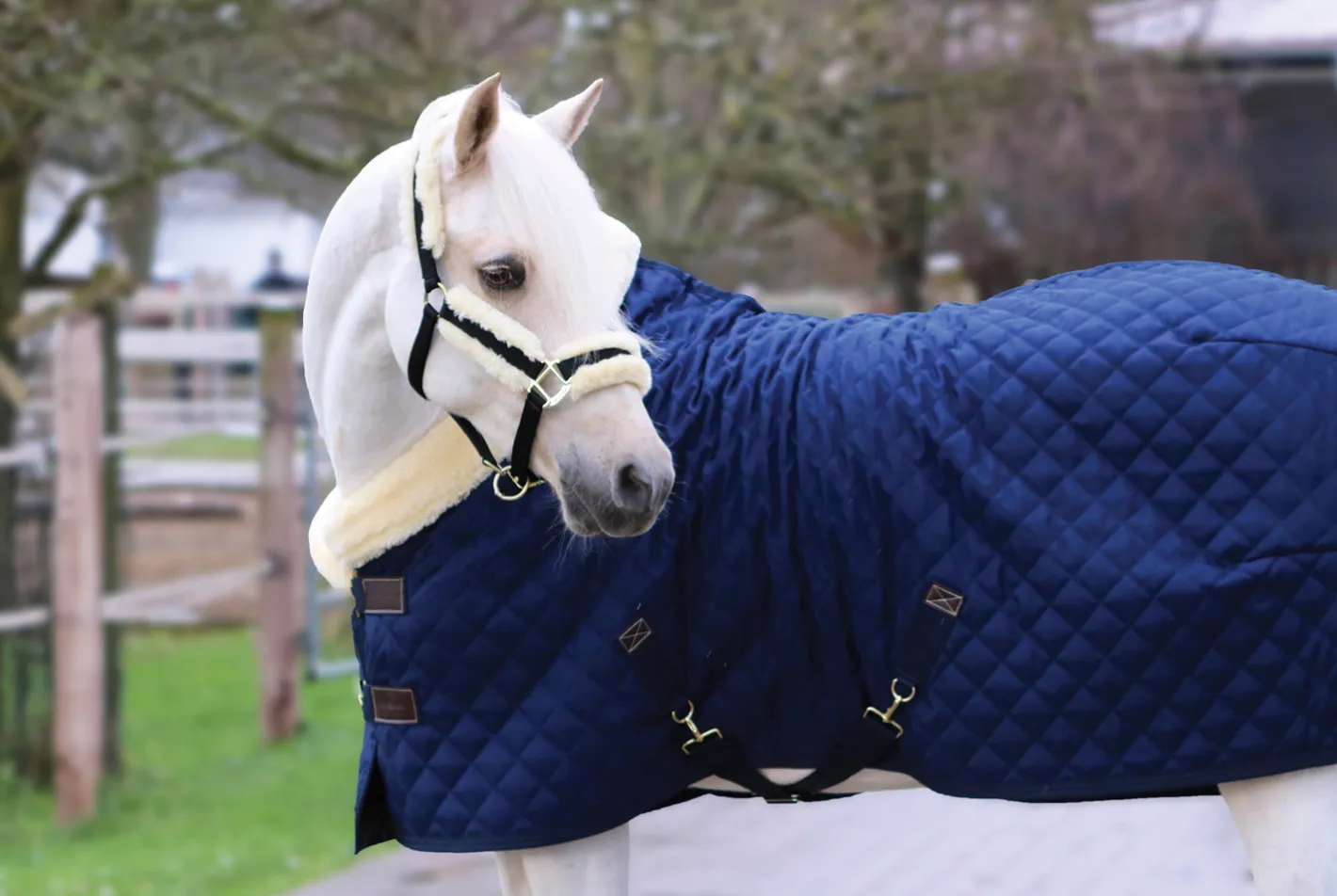 KENTUCKY HORSEWEAR Show Rug