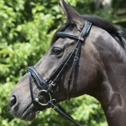 KIEFFER SATTLERWAREN Kieffer Perseus Snaffle Bridle with Plain Browband
