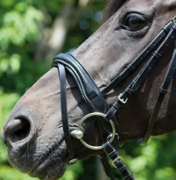 KIEFFER SATTLERWAREN Kieffer Perseus Snaffle Bridle with Plain Browband