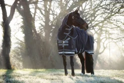 HORSE HEALTH TRADE LeMieux® Arika Storm-Tek 350 Gram Turnout Blanket