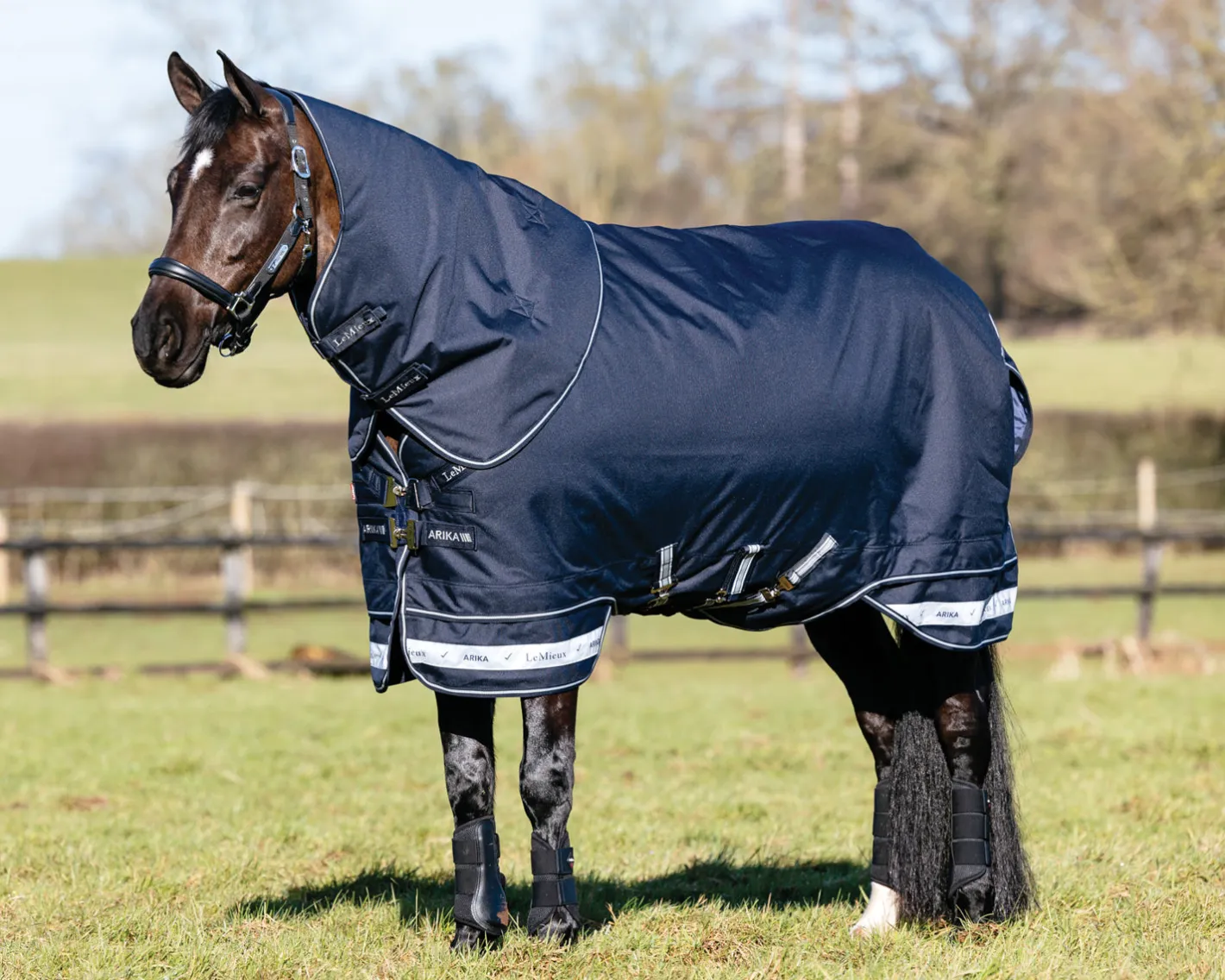 HORSE HEALTH TRADE LeMieux® Arika Storm-Tek 100 Gram Turnout Blanket with Leg Straps