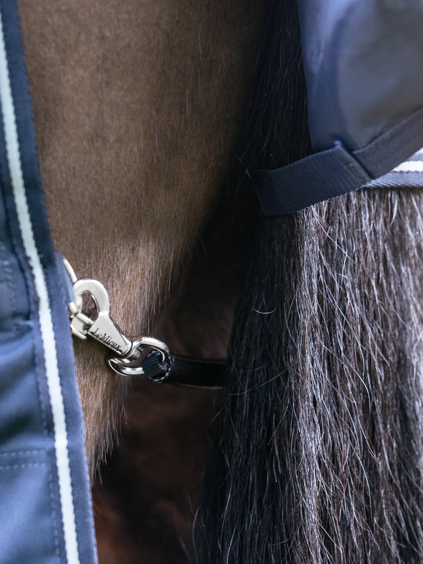 HORSE HEALTH TRADE LeMieux® Arika Storm-Tek 100 Gram Turnout Blanket with Leg Straps