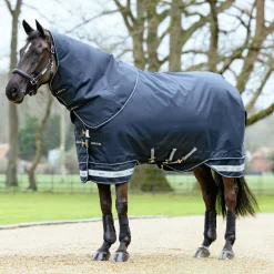 HORSE HEALTH TRADE LeMieux® Arika Storm-Tek 350 Gram Turnout Blanket with Leg Straps