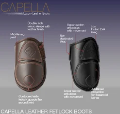HORSE HEALTH TRADE LeMieux® Capella Fetlock Boots