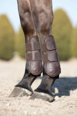 HORSE HEALTH TRADE LeMieux® Capella Tendon Boots