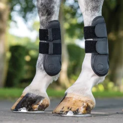 HORSE HEALTH TRADE LeMieux® Capella Tendon Boots