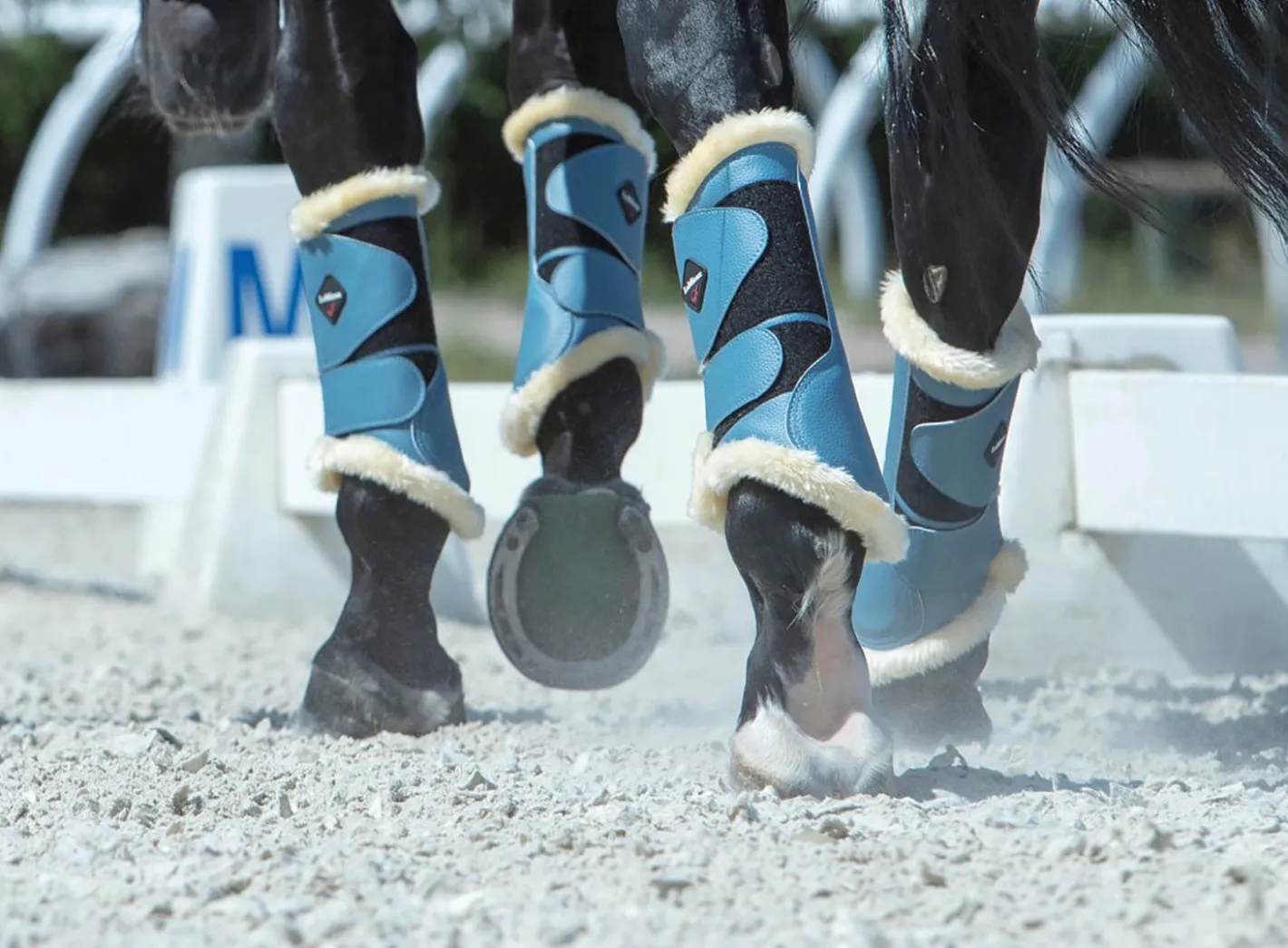 HORSE HEALTH TRADE LeMieux® Fleece-Lined Brushing Boots