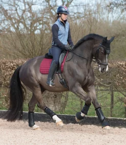 HORSE HEALTH TRADE LeMieux® Fleece-Lined Brushing Boots