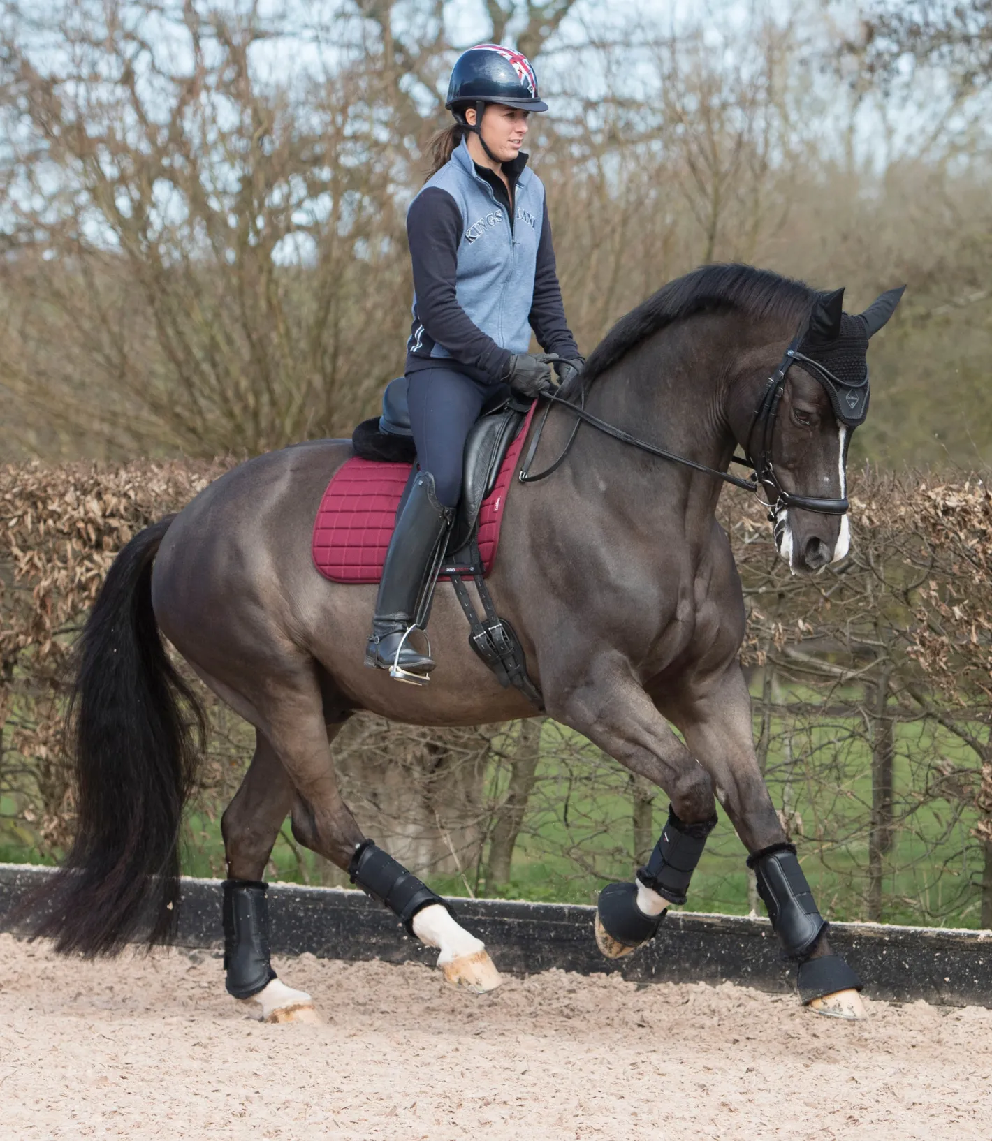 HORSE HEALTH TRADE LeMieux® Fleece-Lined Brushing Boots