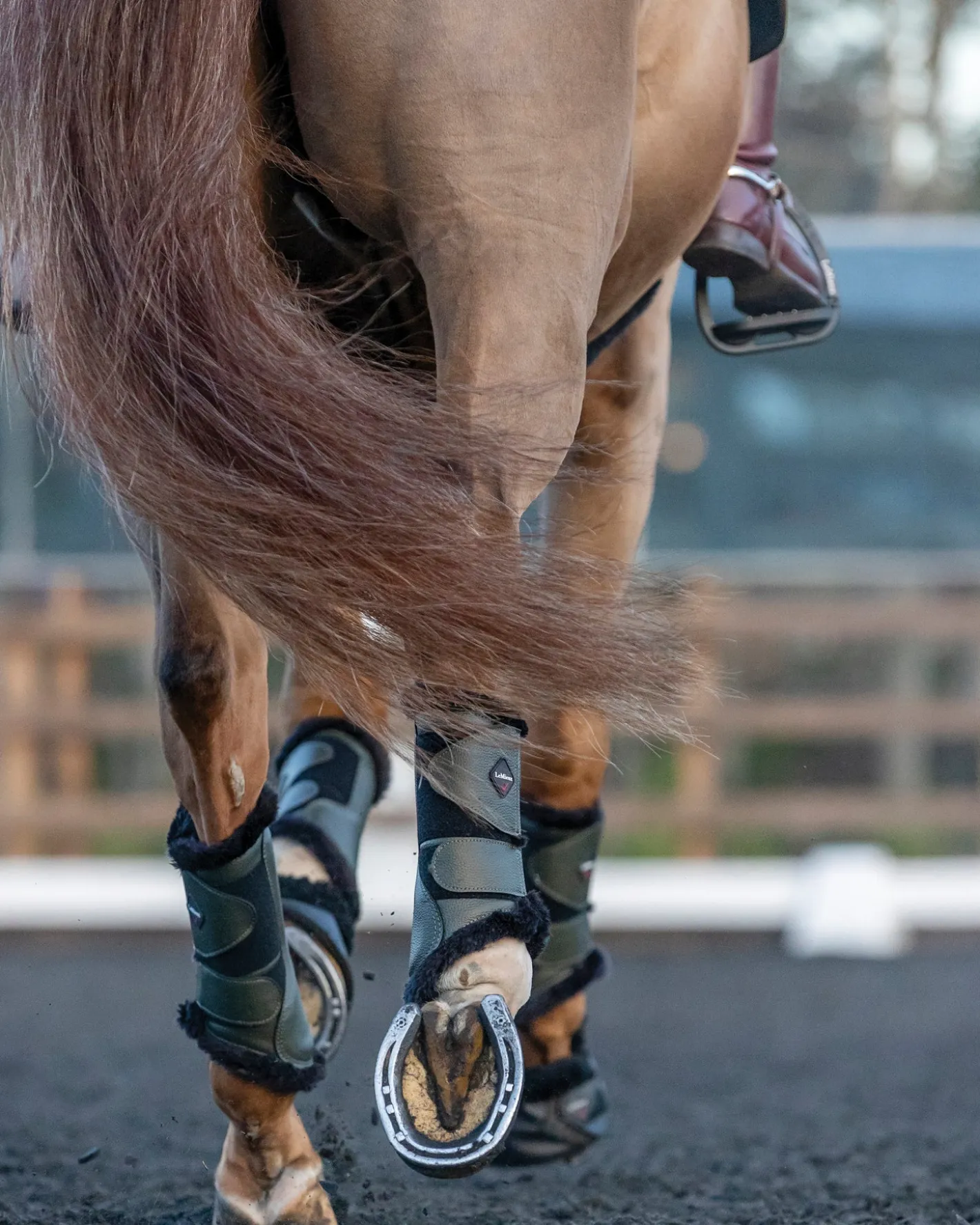 HORSE HEALTH TRADE LeMieux® Fleece-Lined Brushing Boots
