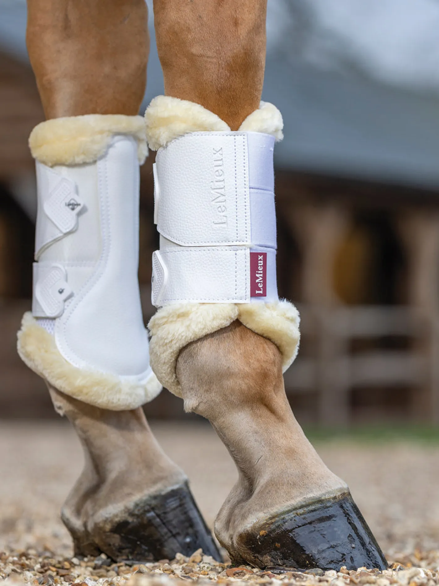 HORSE HEALTH TRADE LeMieux® Fleece-Lined Mesh Brushing Boots