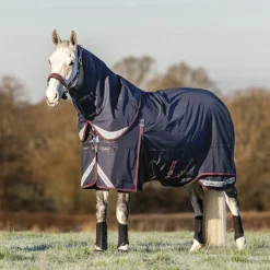 HORSE HEALTH TRADE LeMieux® Kudos 200 Gram Turnout Blanket with Leg Straps