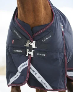 HORSE HEALTH TRADE LeMieux® Kudos 200 Gram Turnout Blanket with Leg Straps
