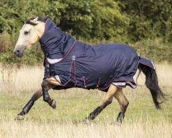 HORSE HEALTH TRADE LeMieux® Kudos 100 Gram Turnout Blanket with Leg Straps