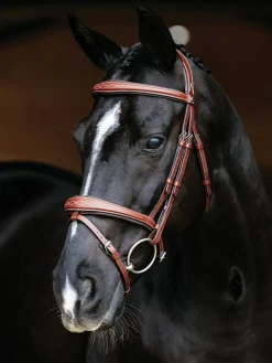 HORSE HEALTH TRADE LeMieux® Kudos Competition Flash Bridle