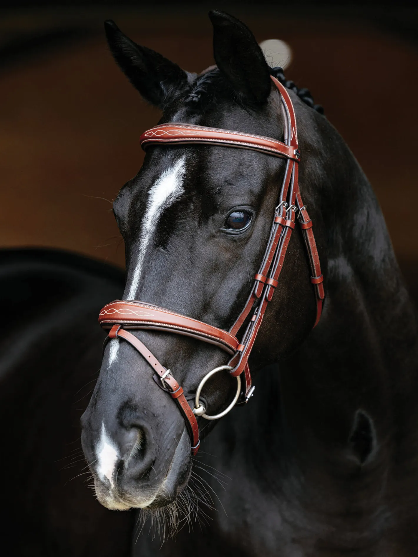 HORSE HEALTH TRADE LeMieux® Kudos Competition Flash Bridle
