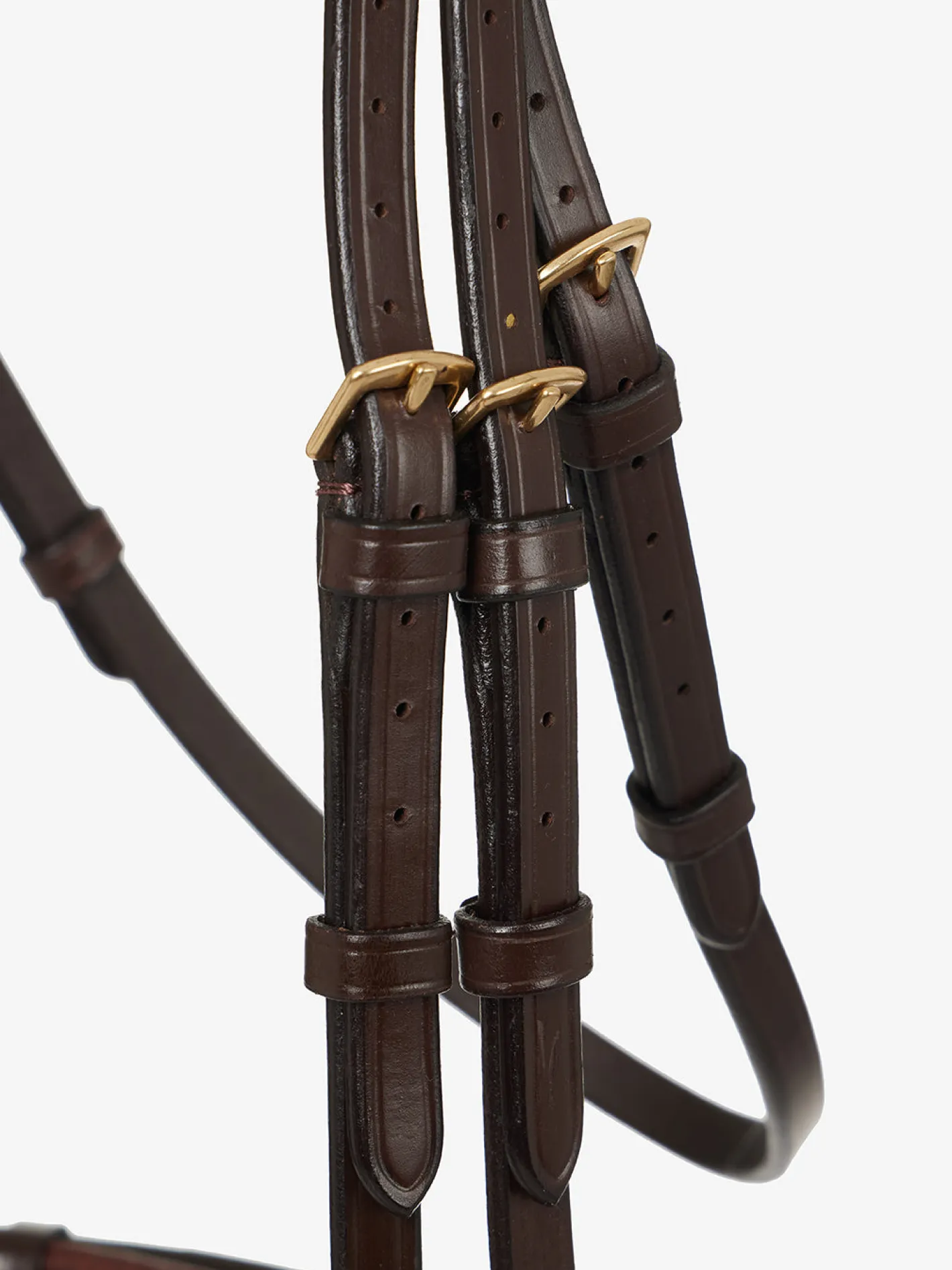 HORSE HEALTH TRADE LeMieux® Kudos Competition Flash Bridle