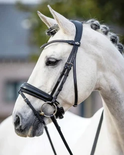 HORSE HEALTH TRADE LeMieux® Kudos Dressage Flash Bridle