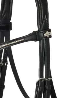 HORSE HEALTH TRADE LeMieux® Kudos Dressage Flash Bridle