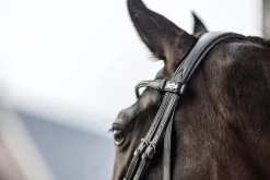 HORSE HEALTH TRADE LeMieux® Kudos Dressage Flash Bridle