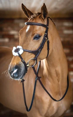HORSE HEALTH TRADE LeMieux® Kudos Figure-8 Bridle